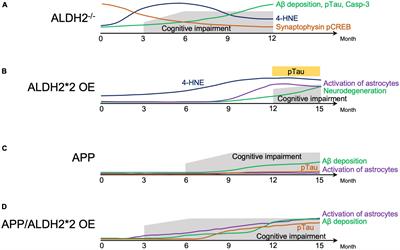 Impact of common ALDH2 inactivating mutation and alcohol consumption on Alzheimer’s disease